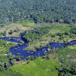 aerial-view-amazon-rainforest-near-manaus