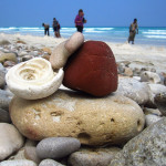 suqatra-island-off-the-yemen-coast